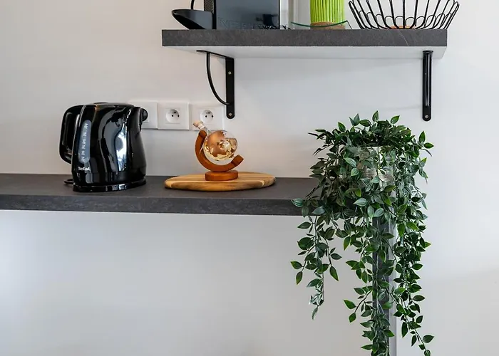 Superbe 2 Pièces - Piscine Et Garage Nizza